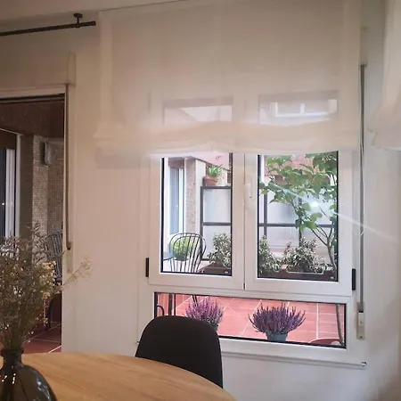 Piso אוביידו